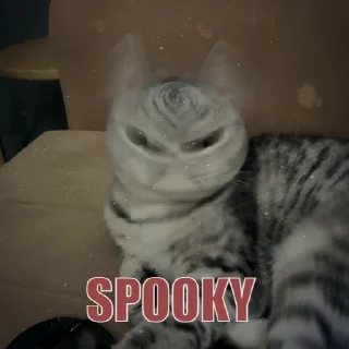 👻