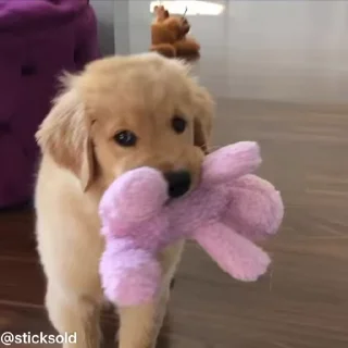 ❤️