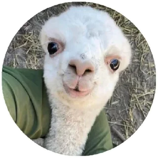 🙂