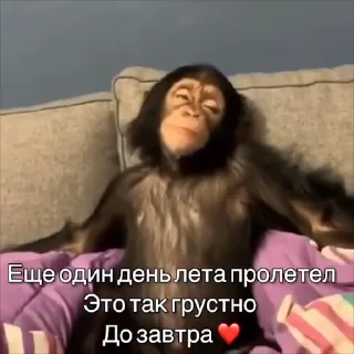 🥺