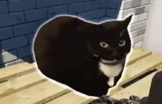 🫥