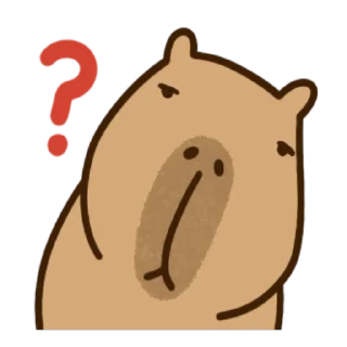 ❓
