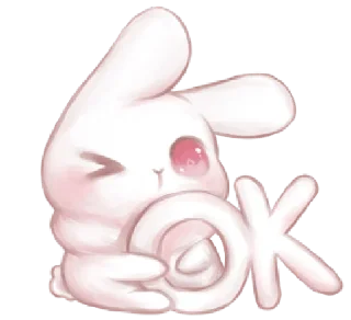 🐰