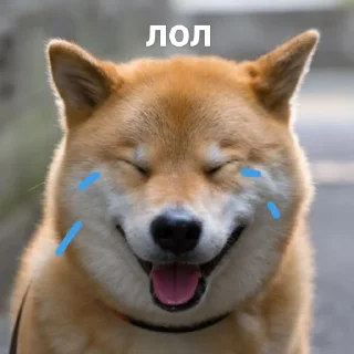 😂