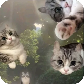 🫥