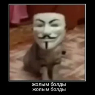😎