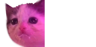 😶