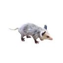 ☹