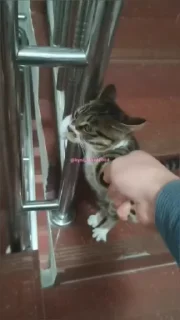 😡