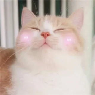 😊