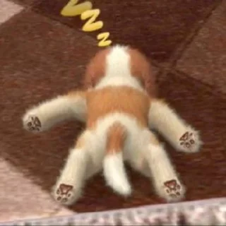🐶