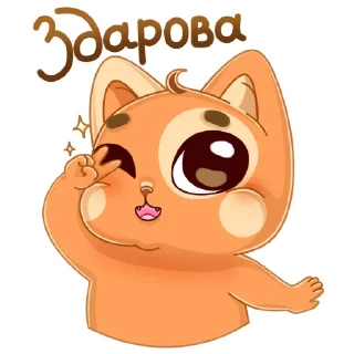 Мандариновый кот :: @karish_art