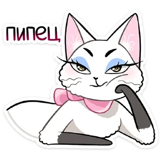 🐱