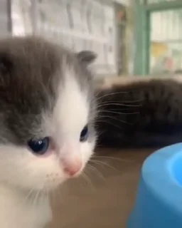 😒