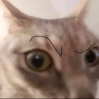 🤔