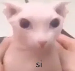😶