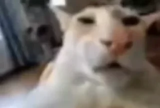 😶