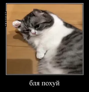 😒