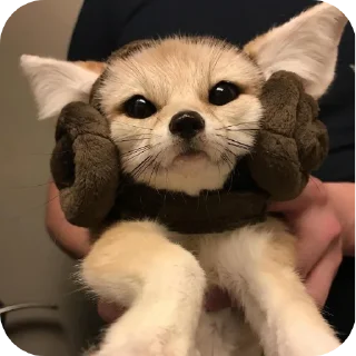 🧸