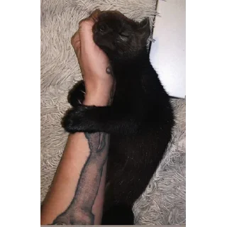🤲