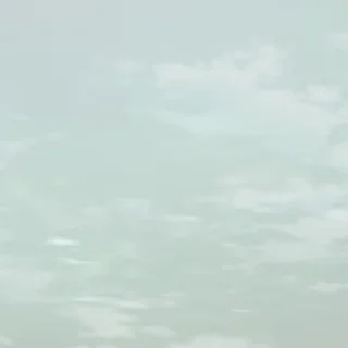 👹