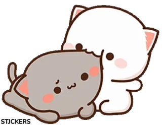 😽