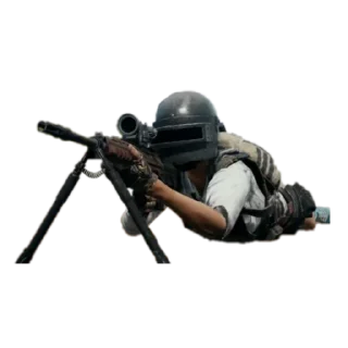 🎯