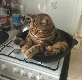 🍕