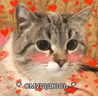 🙃
