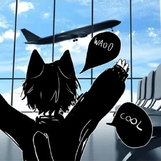 ✈️