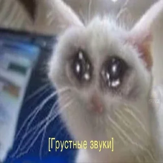 😭