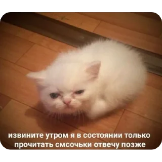 😓
