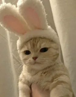 💒