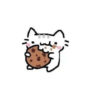 🐱