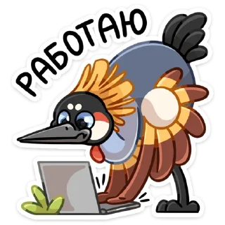 💻