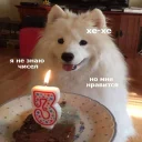 🐶