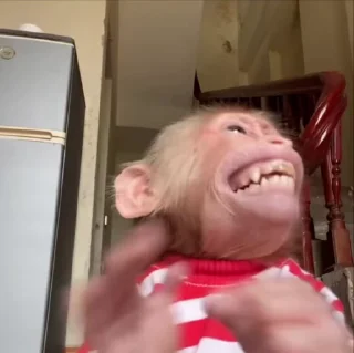 😂