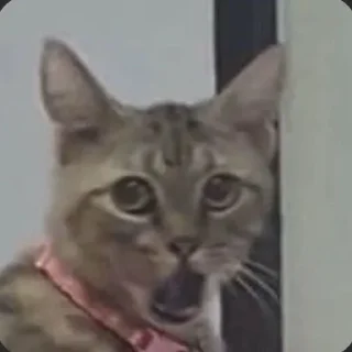 😧