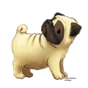 🐶
