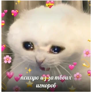 🥺