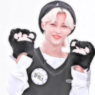 🐱