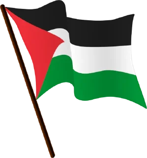 🇵🇸