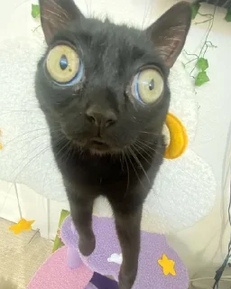 😳