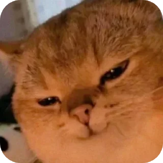 😏