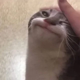☺️