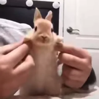 🥛