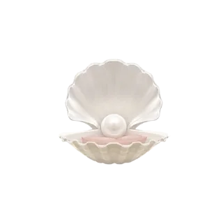 🐚
