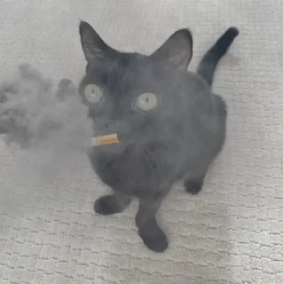 🚬