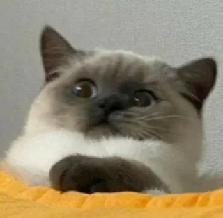 😱