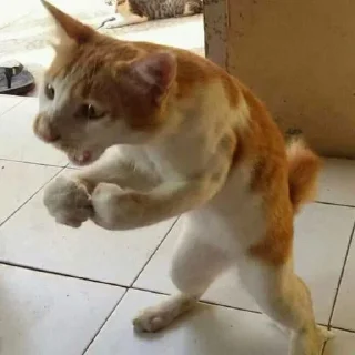 🤛